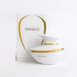 Pinnace